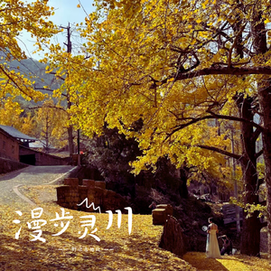 Chinese麻豆XXX实拍
